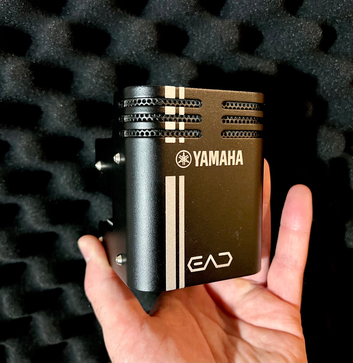 Yamaha EAD-10