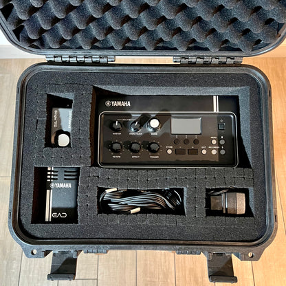 Yamaha EAD-10