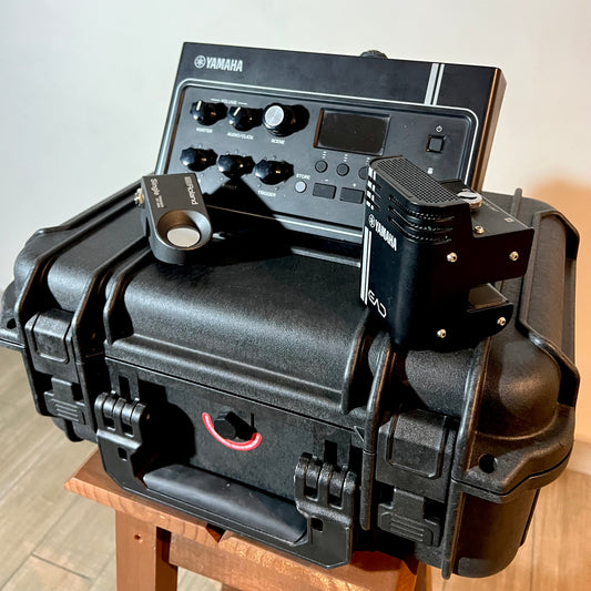 Yamaha EAD-10